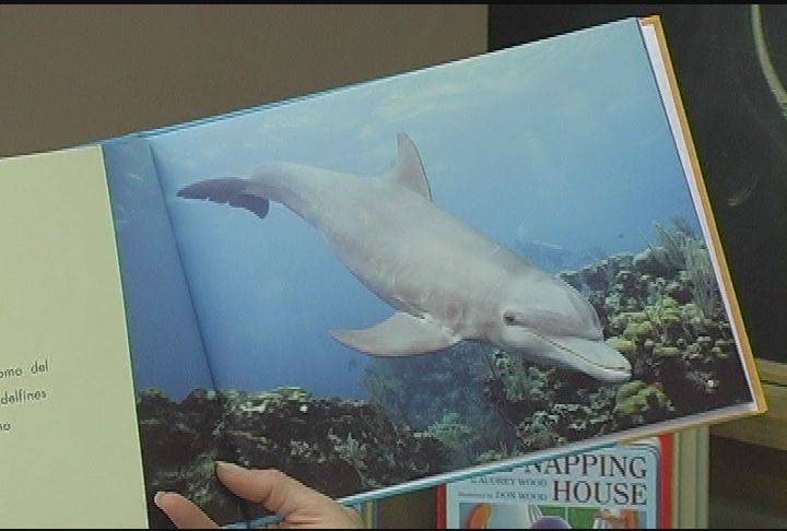 ECI Read Along