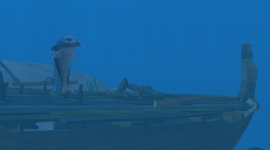 Donkey Ollie