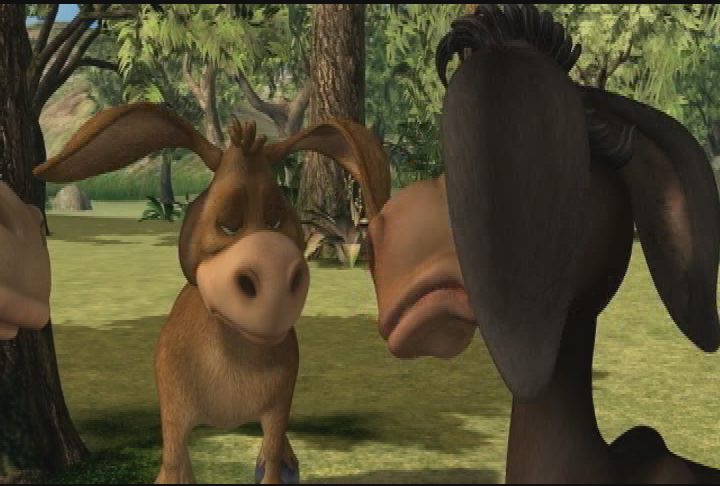 Donkey Ollie