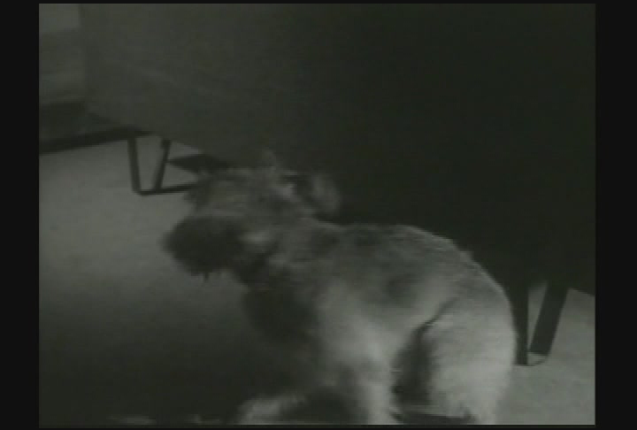 Classic Movie Theatre - Behave Yourself