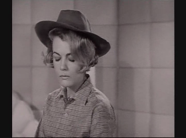 Classic TV - Beverly Hillbillies