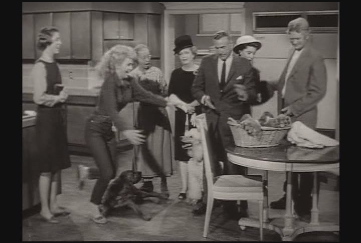 Classic TV - Beverly Hillbillies