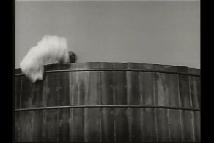 Classic TV -  Petticoat Junction