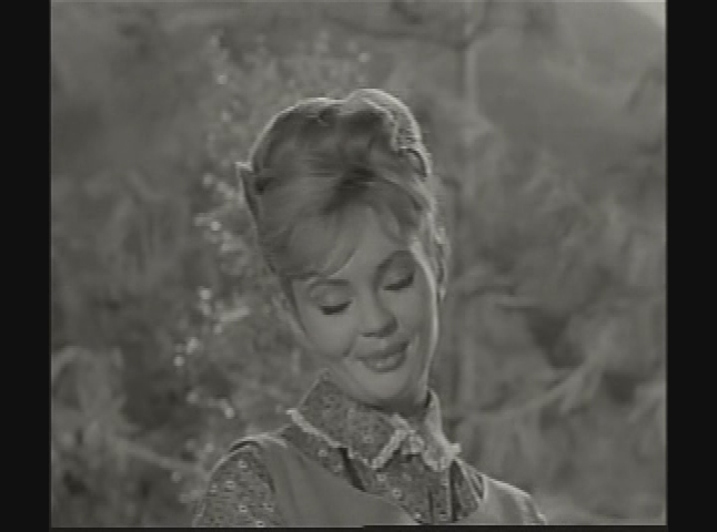 Classic TV -  Petticoat Junction