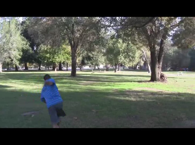 Disk Golf LIVE