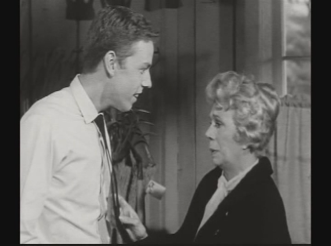Classic TV -  Petticoat Junction